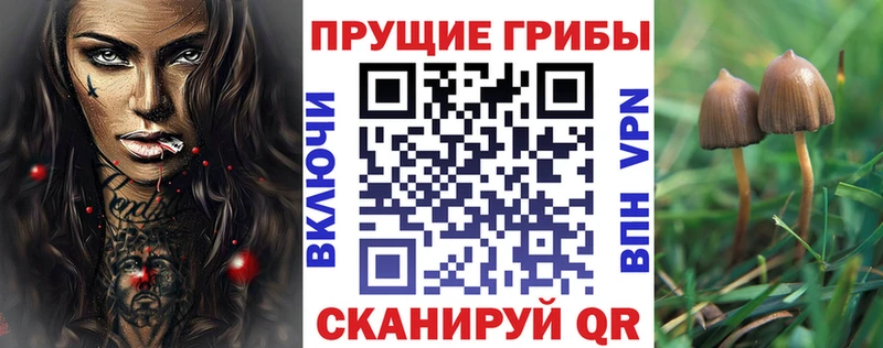 Галлюциногенные грибы ЛСД  Чаплыгин 