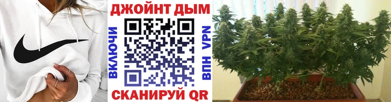 как найти закладки  блэк спрут   Канабис сатива  Чаплыгин 